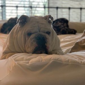 💕Trade with Grace💕